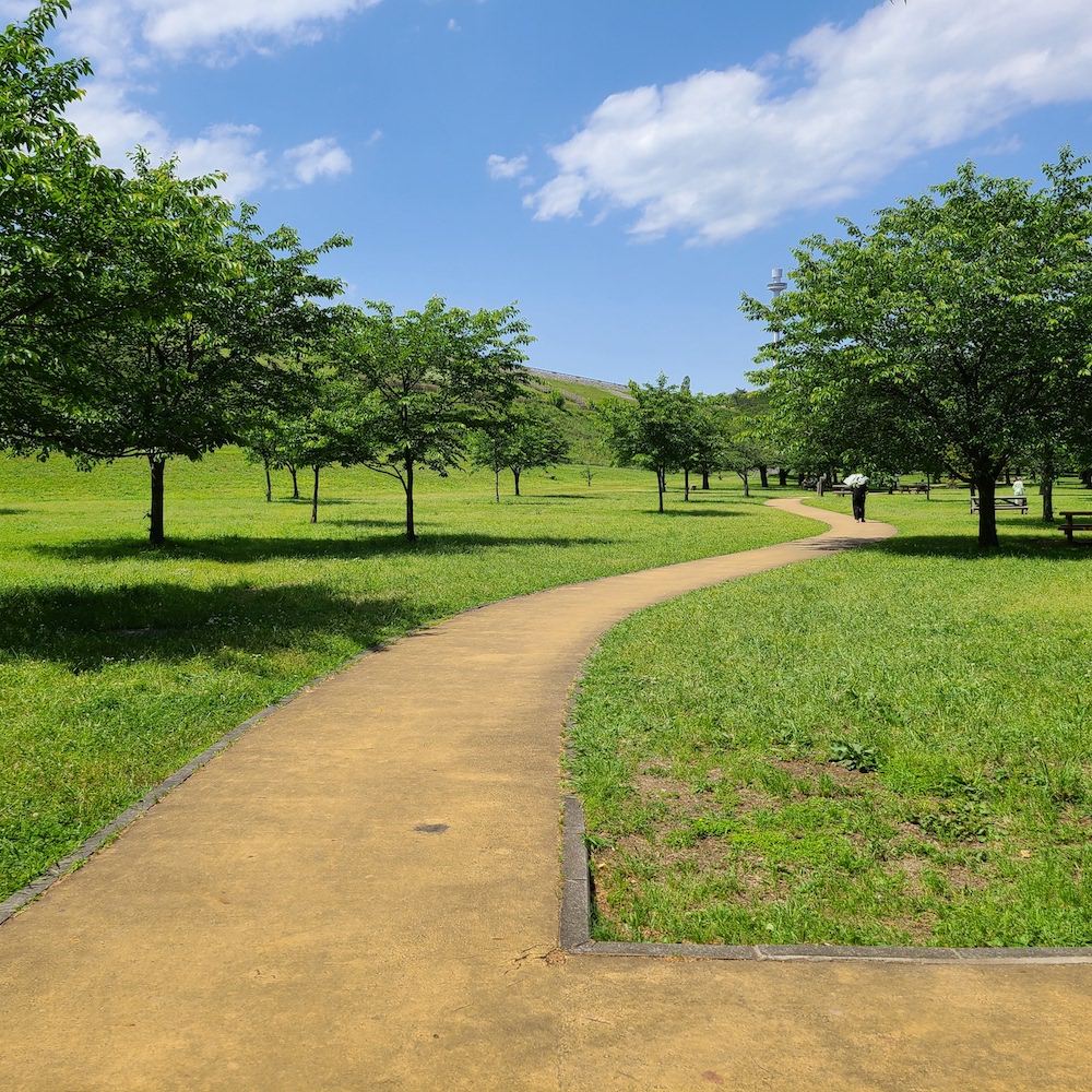 新緑の公園