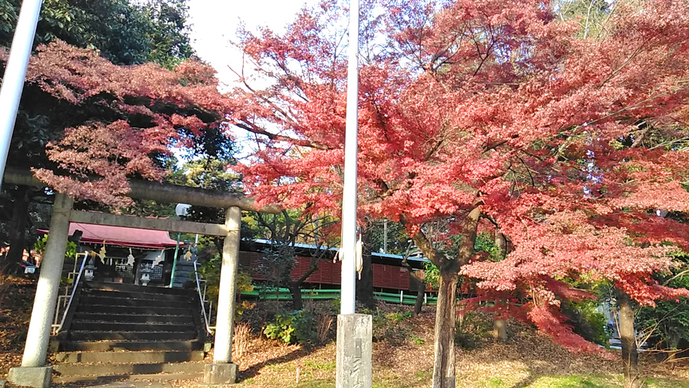 狭山公園の紅葉