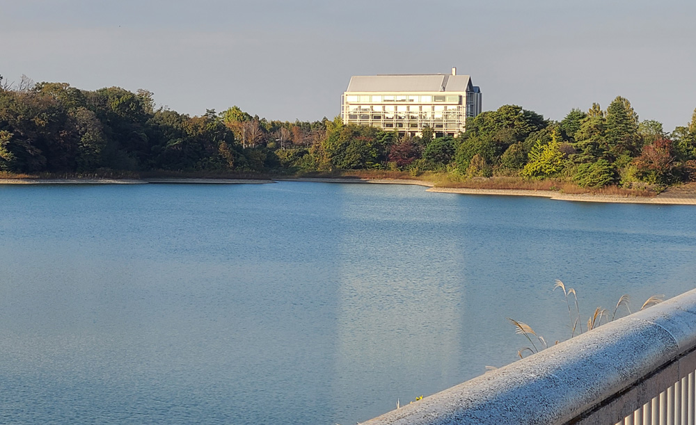 狭山公園の紅葉