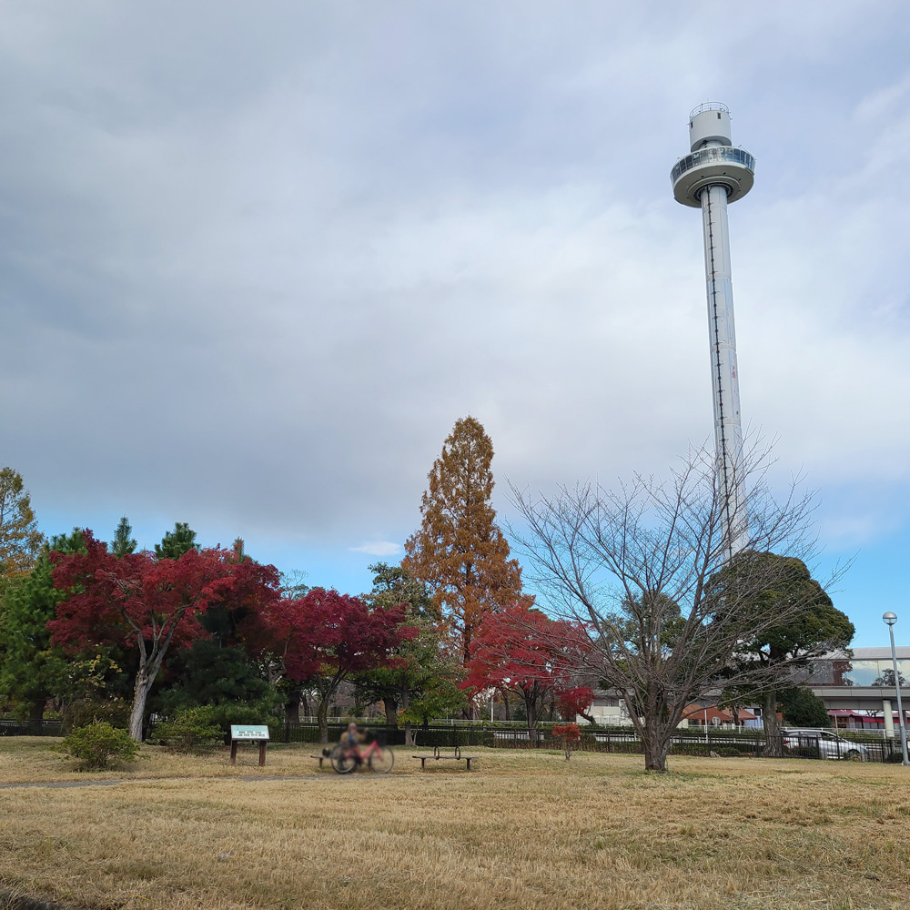 狭山公園の紅葉