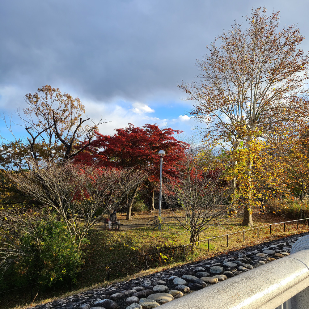 狭山公園の紅葉